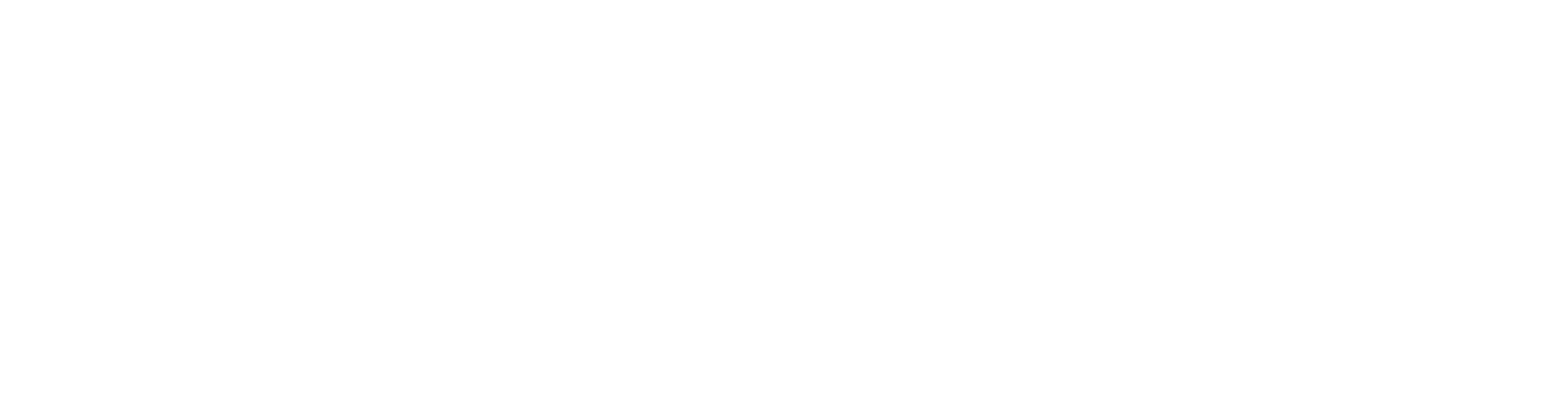 Logo Zanardo Autofactory