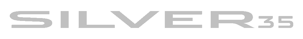 Silver 35 - Zanardo Autofactory