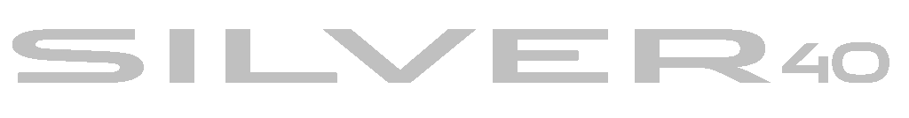 Silver 40 - Zanardo Autofactory